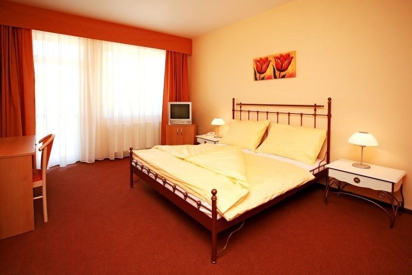 Litoměřice Sporthotel Patriot מראה חיצוני תמונה
